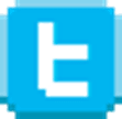 Twitter logo in the footer of this web page.